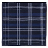 吸水ハンカチタオル(25x25 NV IZ01)