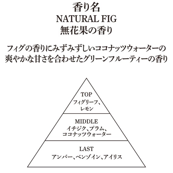 ドレスタオル(キンモクセイガラ NG09)＋アロマディフューザー150  NG09(イチジク）＋ハンドタオル(キンモクセイ IW25)＋ハンドクリーム(キンモクセイ･フィグ) 4点セット 2枚目画像