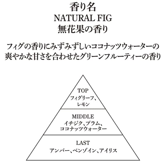 ドレスタオル(キンモクセイガラ NG09)+アロマディフューザー150 NG09(イチジク)+ハンドタオル(キンモクセイ IW25)+ハンドクリーム(キンモクセイ・フィグ) 4点セット 2枚目画像