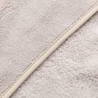 マスコットタオル(デコネコ GT22) 5枚目画像