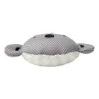 コアラボディスポンジ(TY) 4枚目画像