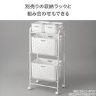 ランドリーバスケット レギュラー(CH02) 3枚目画像