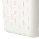 ランドリーバスケット レギュラー(CH02) 8枚目画像