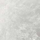 SC ソフトブラシ(DL001) 7枚目画像