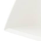 SC チリトリ(DY001) 6枚目画像