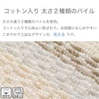 洗えるコットン入りラグ(130x185 BE SR06) 4枚目画像