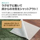 【2点セット】ホットカーペット176cm×235cm(C NT 3J)+保温アルミシート(2mm 180X230 C) 7枚目画像