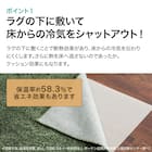 【2点セット】ホットカーペット176cm×235cm(C NT 3J)+保温アルミシート(2mm 180X230 C) 7枚目画像