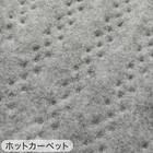 【2点セット】ホットカーペット176cm×235cm(C NT 3J)+保温アルミシート(2mm 180X230 C) 17枚目画像