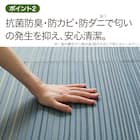 い草ラグ(gd 180X180cm BL g) 4枚目画像