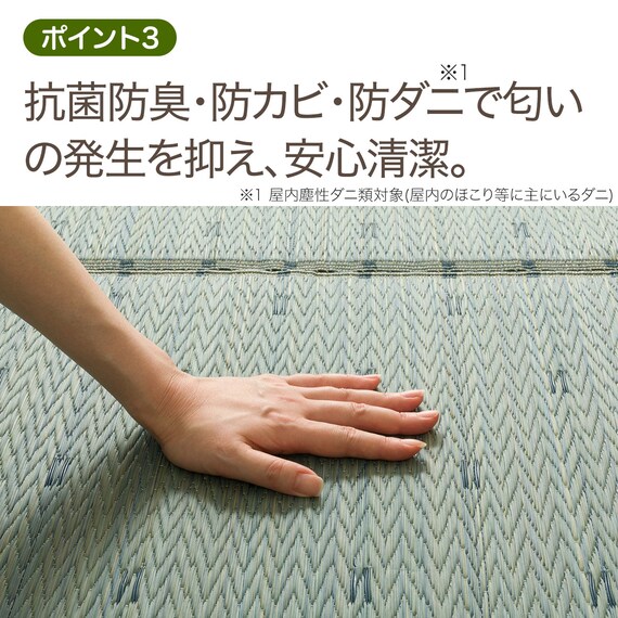 15mmウレタン入りい草ラグ(ld 180X240cm g) 5枚目画像