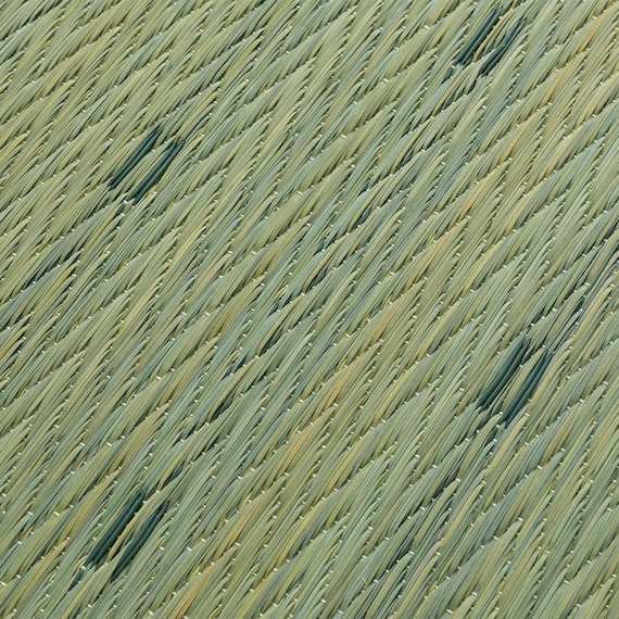 15mmウレタン入りい草ラグ(ld 180X240cm g) 10枚目画像