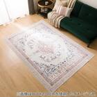 洗濯できる短毛ラグ(140X200 DP01) 1枚目画像