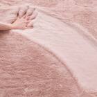 アクセントラグ(ウサギラグSP 200X200 RO ZG03) 8枚目画像