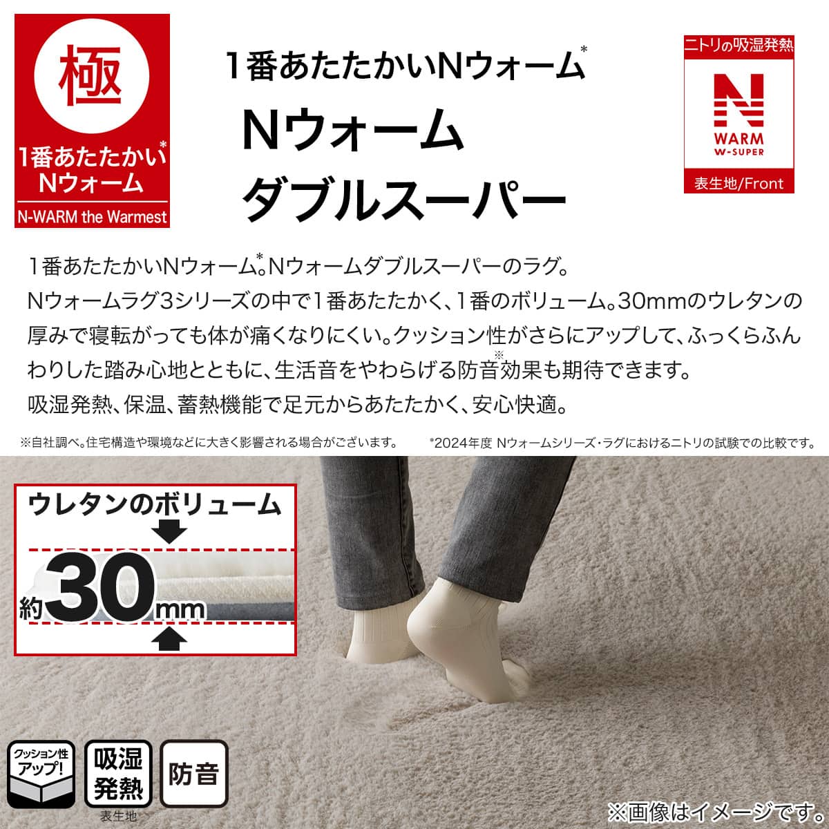 極厚30mmウレタン入り 保温+吸湿発熱+蓄熱+防汚+防音ラグ(NウォームWSP