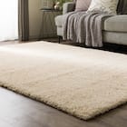 ほこりが取れやすいシャギーラグ(160X230 BE SR008) 1枚目画像