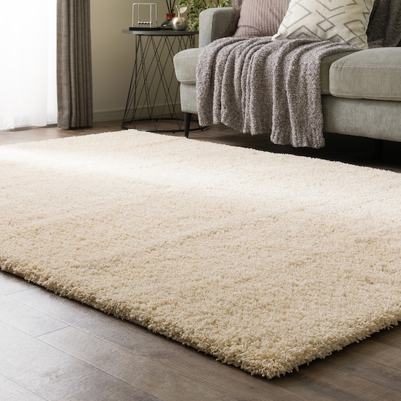 ほこりが取れやすいシャギーラグ(160X230 BE SR008) 1枚目画像