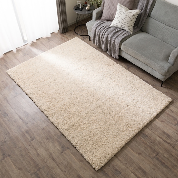 ほこりが取れやすいシャギーラグ(160X230 BE SR008) 2枚目画像