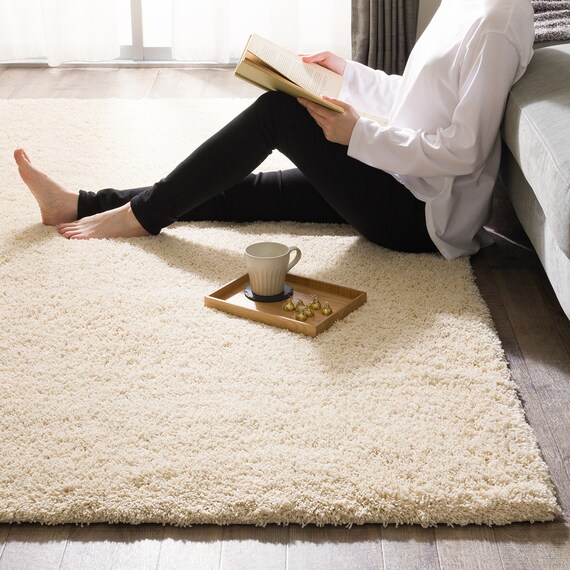 ほこりが取れやすいシャギーラグ(160X230 BE SR008) 3枚目画像