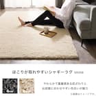 ほこりが取れやすいシャギーラグ(160X230 BE SR008) 4枚目画像