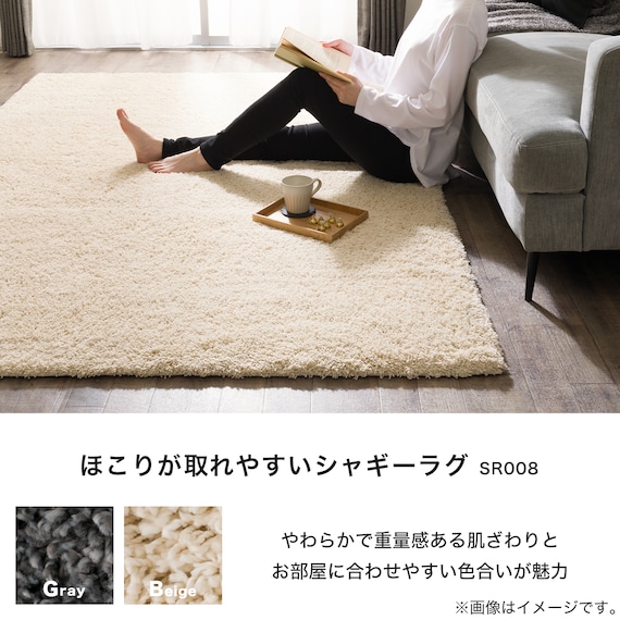 ほこりが取れやすいシャギーラグ(160X230 BE SR008) 4枚目画像