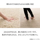 ほこりが取れやすいシャギーラグ(160X230 BE SR008) 5枚目画像