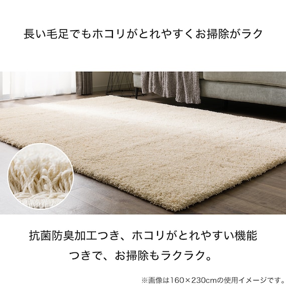 ほこりが取れやすいシャギーラグ(160X230 BE SR008) 6枚目画像