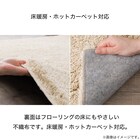 ほこりが取れやすいシャギーラグ(160X230 BE SR008) 7枚目画像