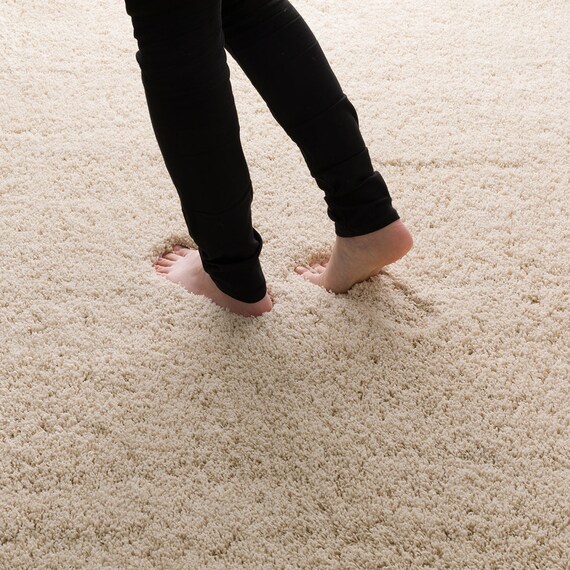 ほこりが取れやすいシャギーラグ(160X230 BE SR008) 8枚目画像