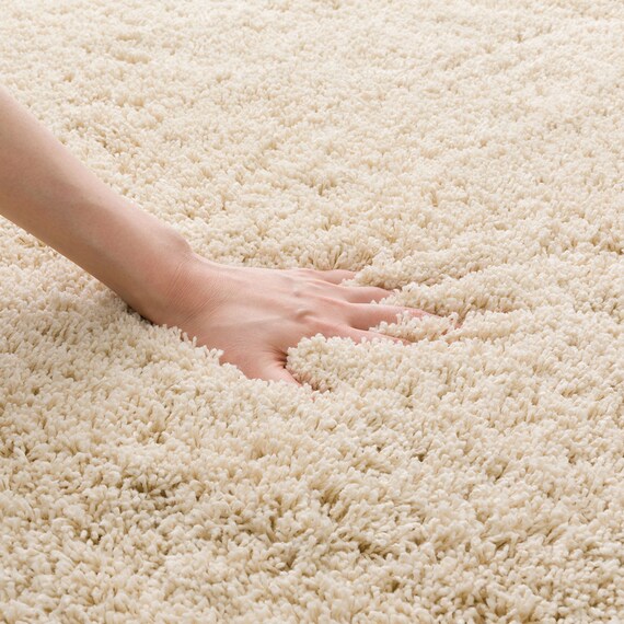 ほこりが取れやすいシャギーラグ(160X230 BE SR008) 10枚目画像