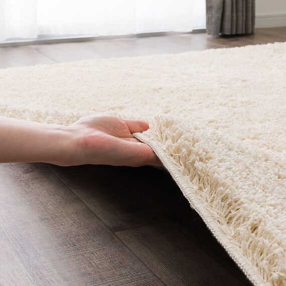 ほこりが取れやすいシャギーラグ(160X230 BE SR008) 11枚目画像