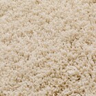 ほこりが取れやすいシャギーラグ(160X230 BE SR008) 12枚目画像