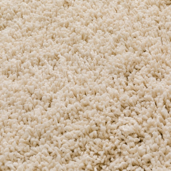 ほこりが取れやすいシャギーラグ(160X230 BE SR008) 12枚目画像