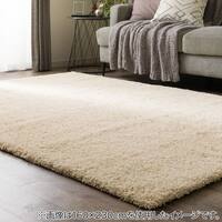 ほこりが取れやすいシャギーラグ(200X250 BE SR008)