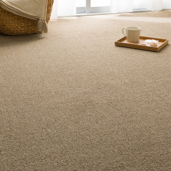 防音・防炎・抗菌防臭・防ダニカーペット(200X285 BR MC01) 1枚目画像