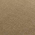 防音・防炎・抗菌防臭・防ダニカーペット(200X285 BR MC01 カットロック加工) 3枚目画像