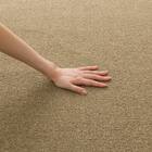 防音・防炎・抗菌防臭・防ダニカーペット(200X285 BR MC01 カットロック加工) 7枚目画像