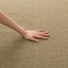 防音・防炎・抗菌防臭・防ダニカーペット(200X285 BR MC01 カットロック加工) 7枚目画像