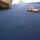 防音・防炎・抗菌防臭・防ダニカーペット(200X200 BL MC01 カットロック加工) 1枚目画像