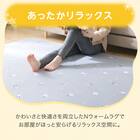 10mmウレタン入り保温+吸湿発熱+蓄熱ラグ(200X240 グレー cDA03) 7枚目画像