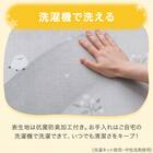 10mmウレタン入り保温+吸湿発熱+蓄熱ラグ(200X240 グレー cDA03) 10枚目画像