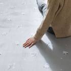 10mmウレタン入り保温+吸湿発熱+蓄熱ラグ(200X240 グレー cDA03) 14枚目画像