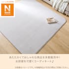 15mmウレタン入り保温+吸湿発熱+蓄熱+防汚ラグ(130X185 ライトモカ cDA04) 4枚目画像