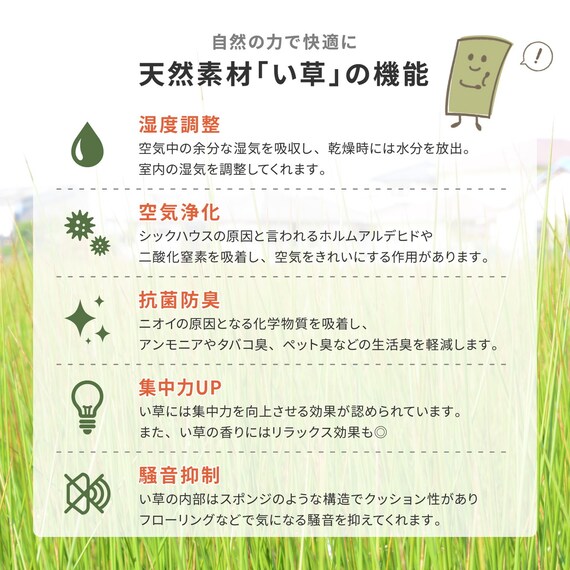 い草カーペット 備前 (本間 2畳) 3枚目画像