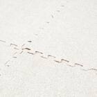 洗えるジョイントマット(アイボリー 9枚セット ふち付き VJ01) 5枚目画像