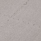 洗えるジョイントマット(モカ 8枚セット ふち付き VJ01) 5枚目画像