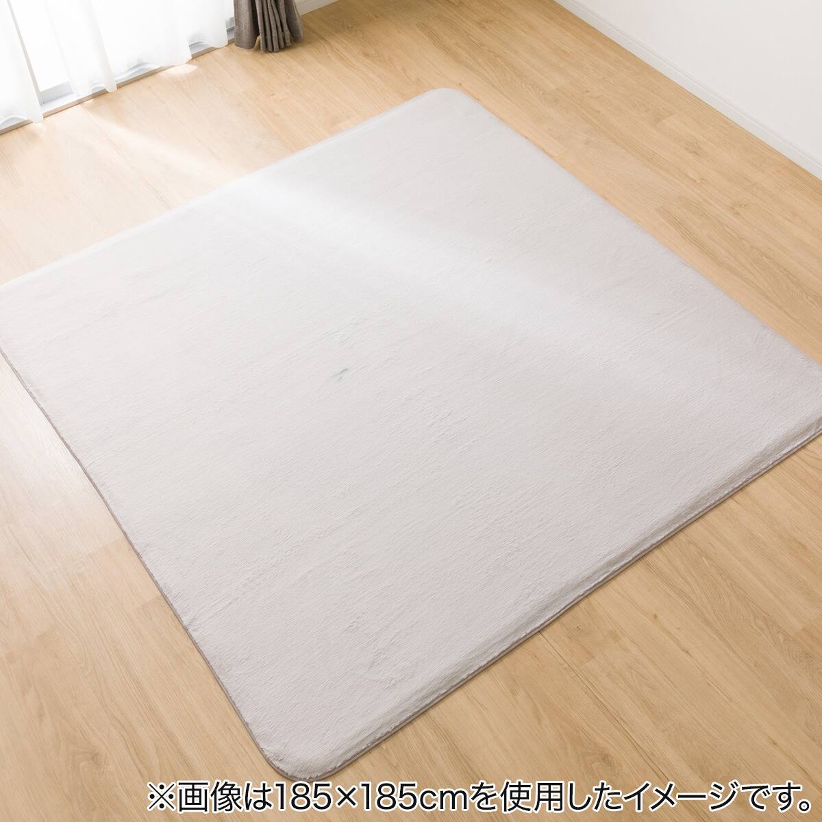 カバーを外せて洗えるラグ(CB 200X240 MO GZ05) | ニトリネット【公式