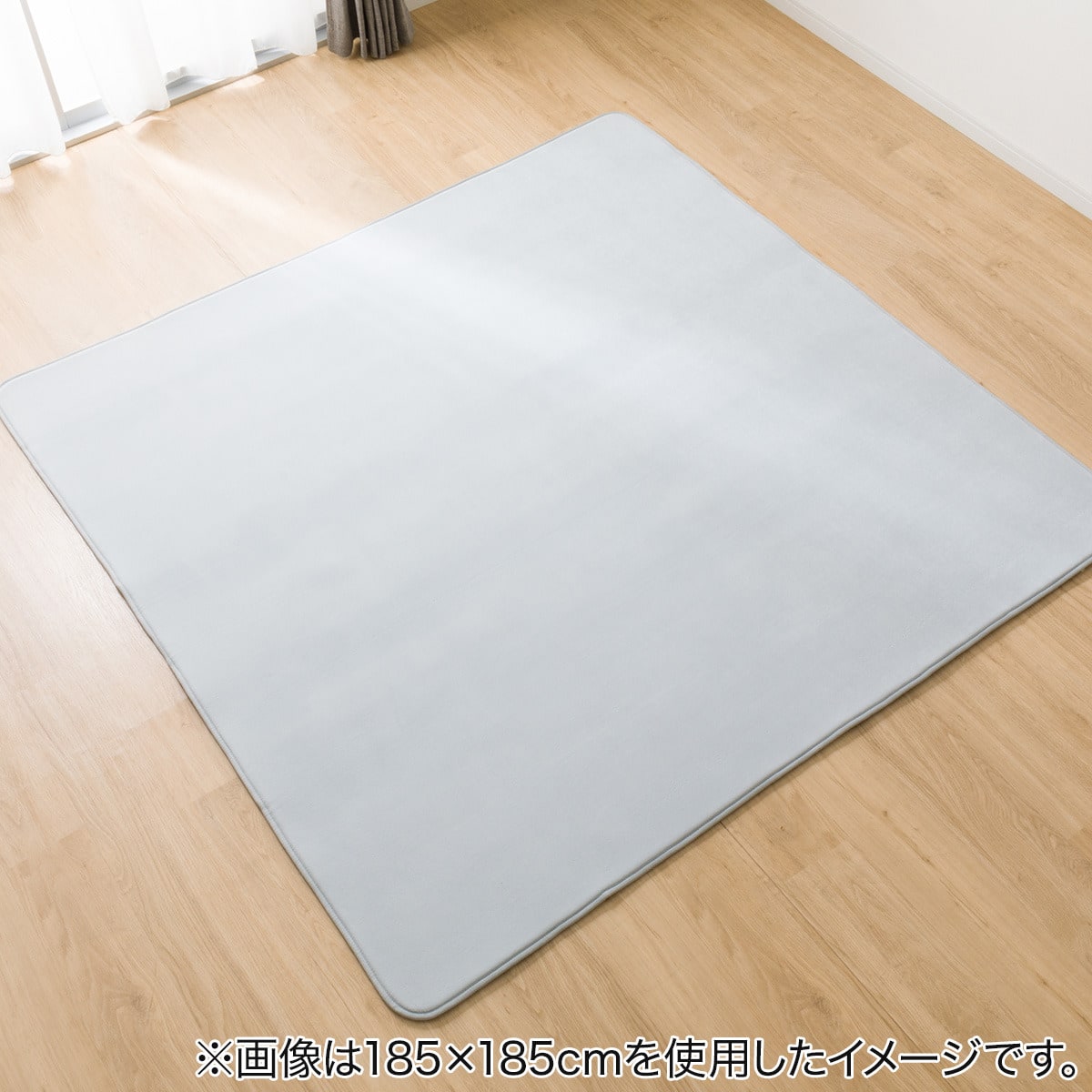 カバーを外せて洗えるラグ(CB 200X240 MO GZ05) | ニトリネット【公式