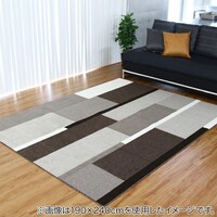防ダニ抗菌防臭防炎防汚ラグ 190x190cm (GRS BR)
