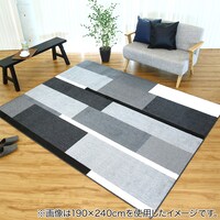 防ダニ抗菌防臭防炎防汚ラグ 190x190cm (GRS GY)